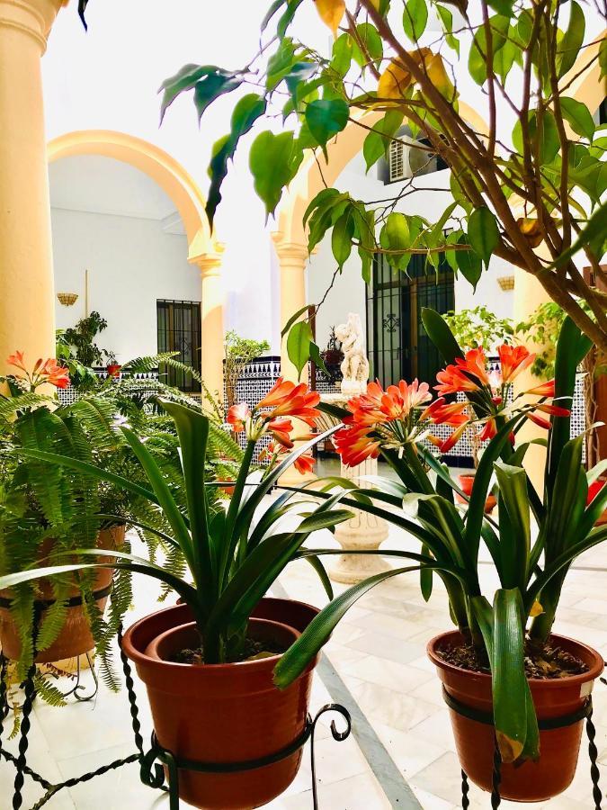 Fabuloso Loft En Centro Historico De Cordoba Con Parking Bajo Reserva Tendillas Mezquita-Catedral Екстер'єр фото